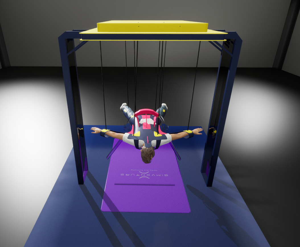 Soma Reality SimVenture Wingsim