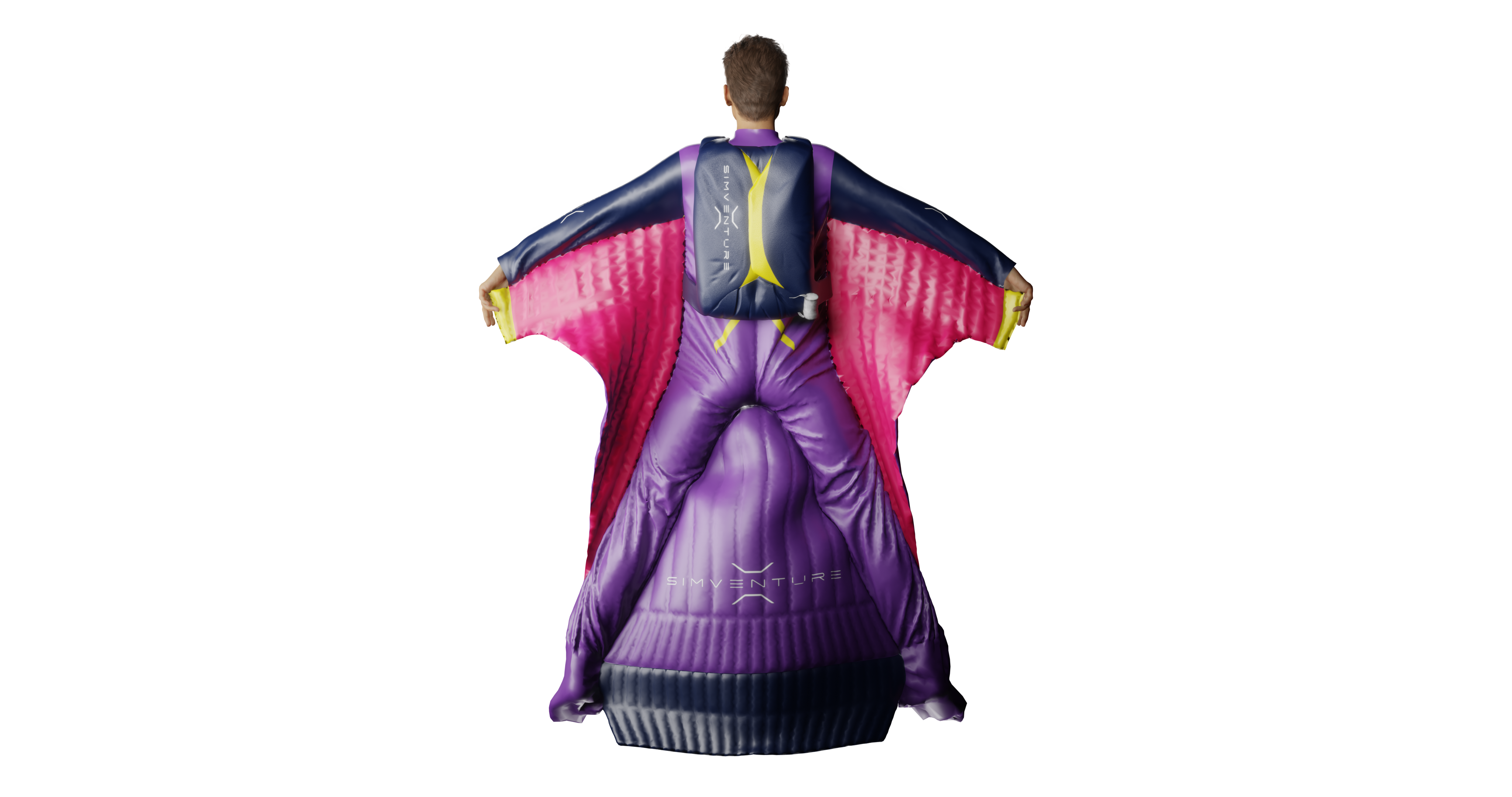 Soma Reality SimVenture Wingsim